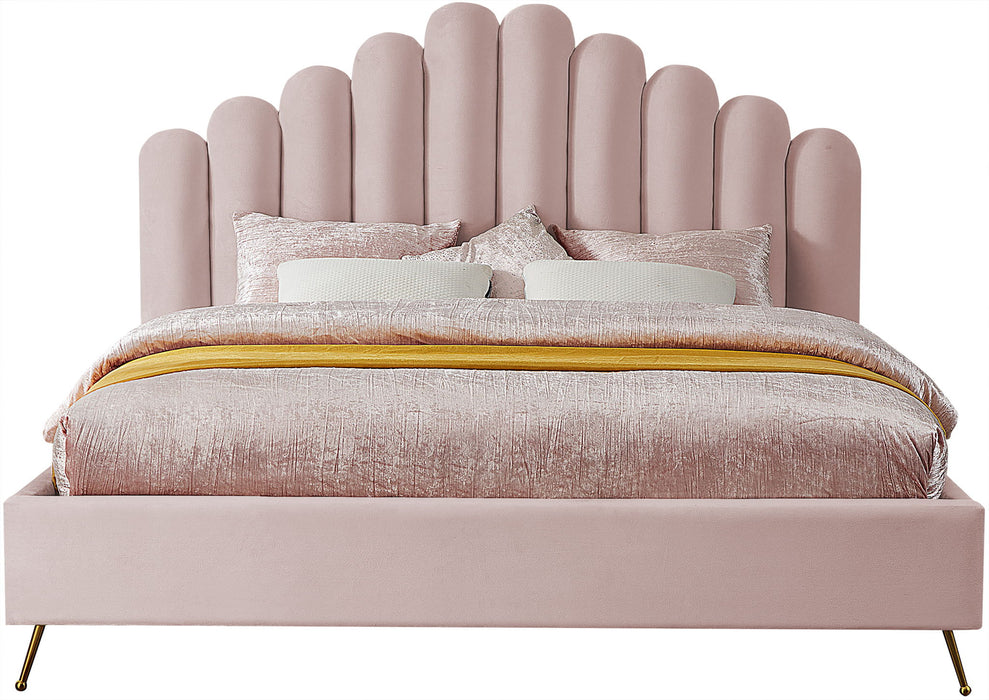 Lily - Bed