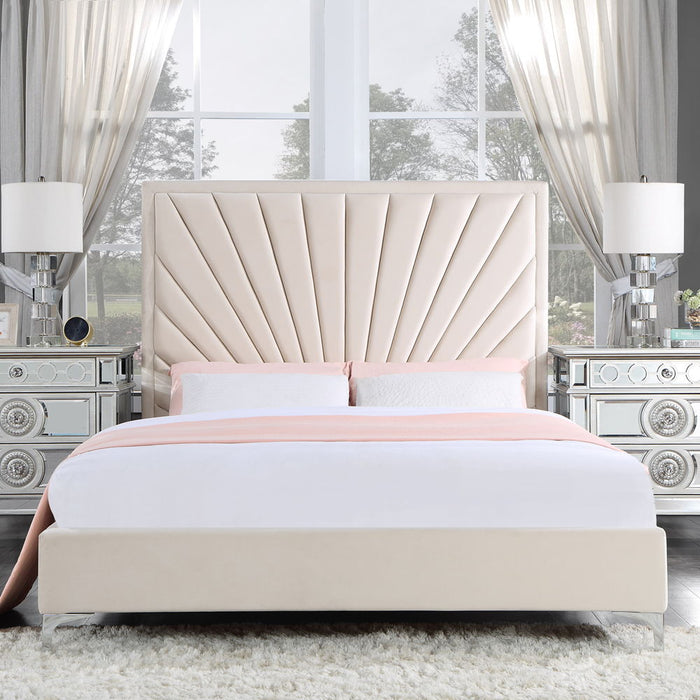 Faiz - Bed