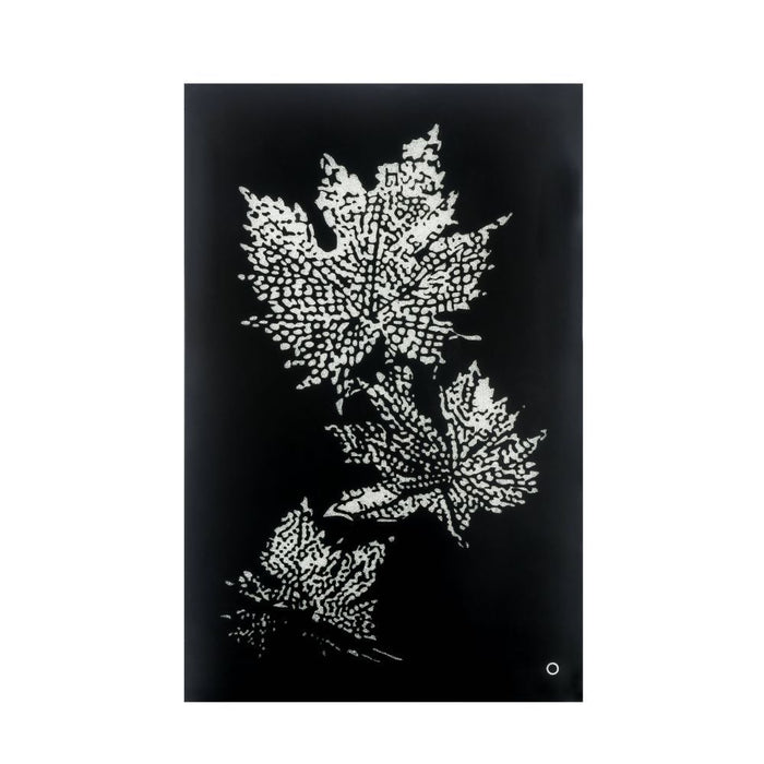 Talisha - 55" Wall Art With LED - Smoky Glass & Faux Crystal