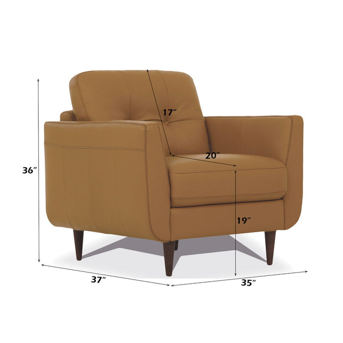 Radwan - Chair