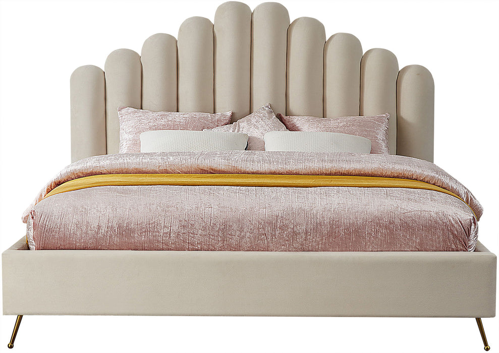 Lily - Bed